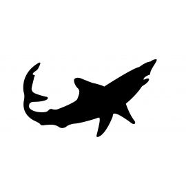 Mako requin