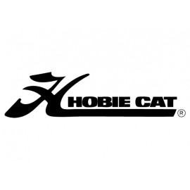 Hobie cat
