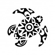 Tortue maori