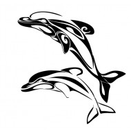 Dauphins duo