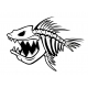Skeleton fish 2