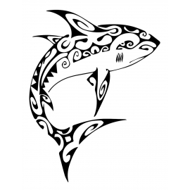 Requin maori