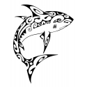 Requin maori