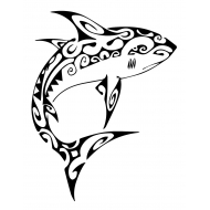 Requin maori